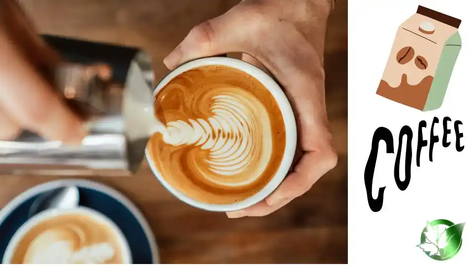 Coffee Creamer quality, format, and packaging should be matched to the buyer’s target application.
